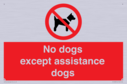 no-dogs-except-assistance-dogs~